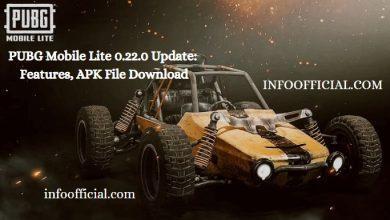 PUBG Mobile Lite 0.22.0 Update: APK File Download, Features